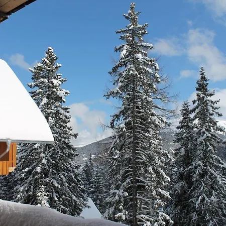 Apartmán Baerenhuette Turracher Hohe